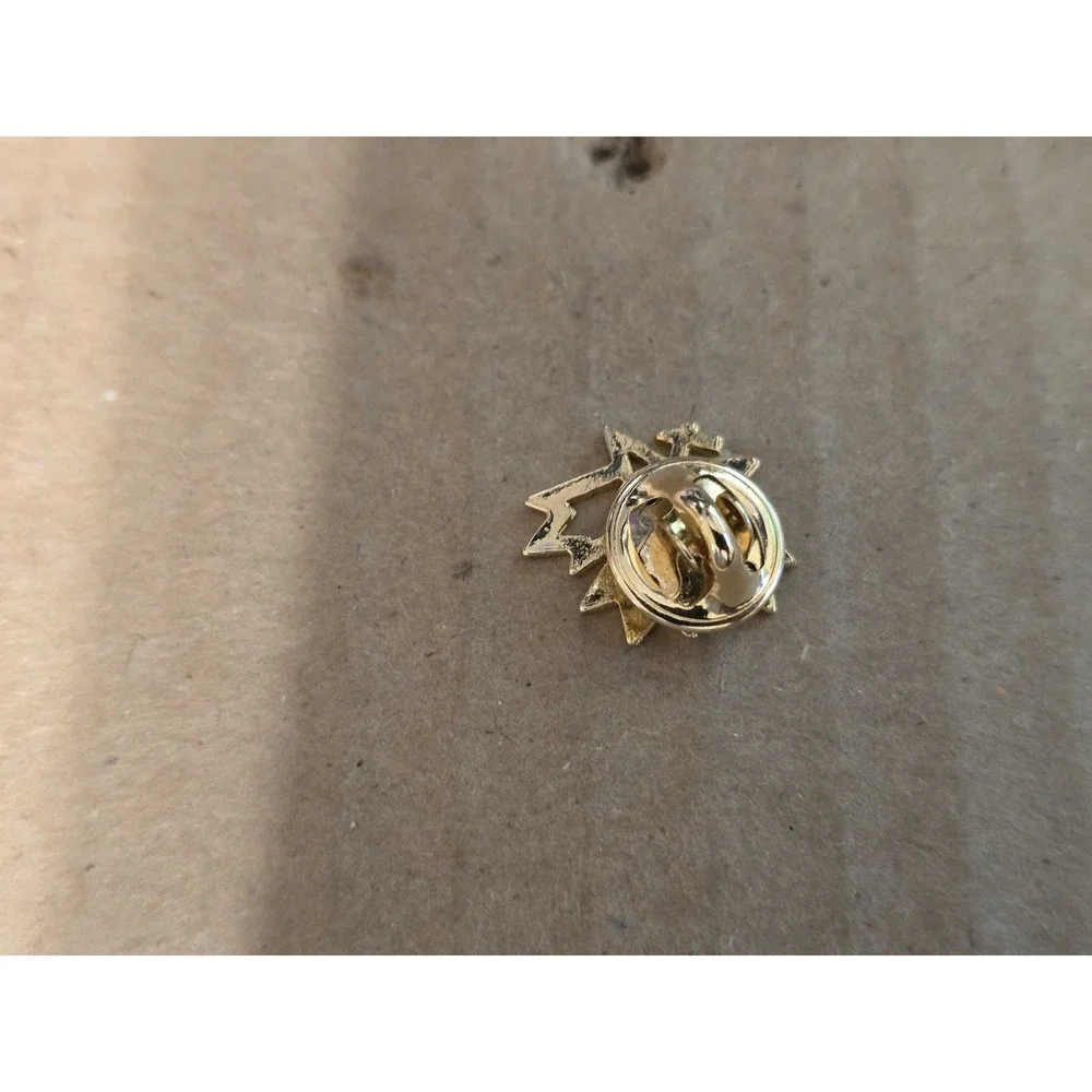 Canadian Advisory Council Status of Women Logo lapel vest hat pin E25